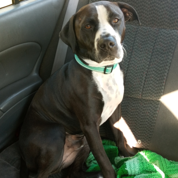 Meet your Posher, Kylee - Picture 7 of 8